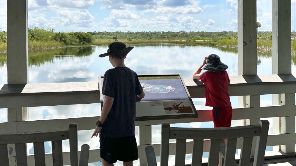 Two boys looking for alligators in the lake during their First View of the Everglades at the Ernest F. Coe Visitor Center.