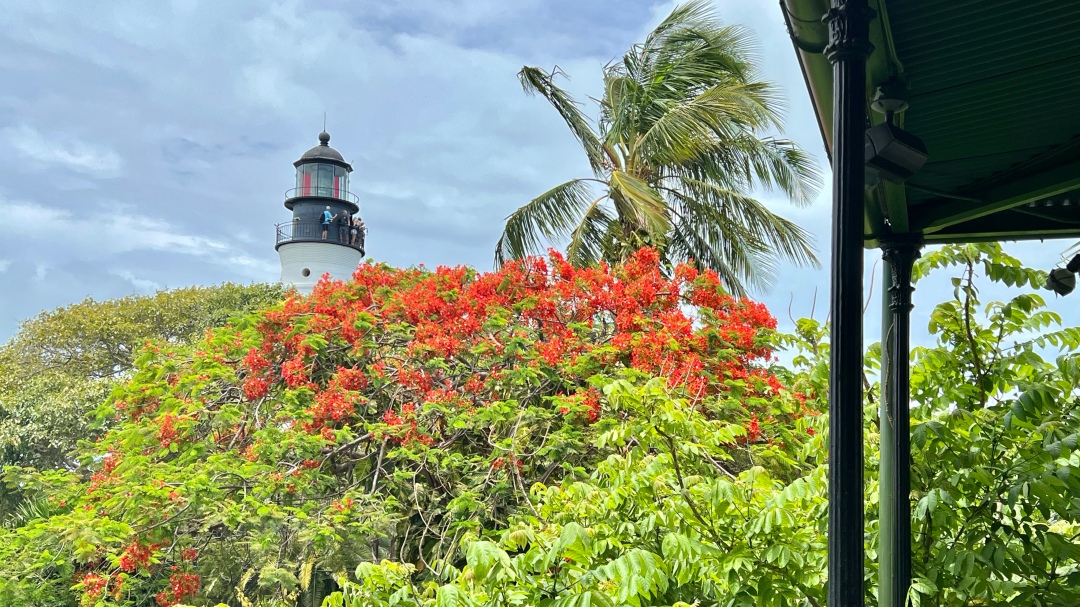 Looking from Ernest Hemingways' Porch toward the Key West Lighthouse and a Royal Poinciana Tree