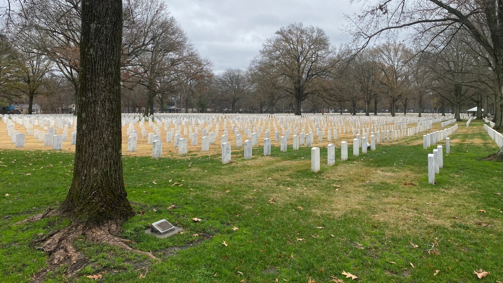 Looking at all the white stone graves while Remembering veterans at the Memphis National Cemetery